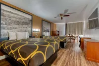 Super 8 by Wyndham Alamosa