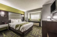 Quality Inn Grove City - Columbus South - 2-Star