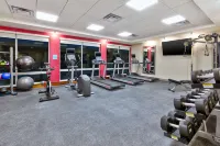 Home2 Suites by Hilton Grand Blanc Flint - Pet friendly