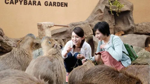 KOKO HOTEL Himeji Castle(formerly Hotel Wing Himeji） In der Nähe des Hotels Photos