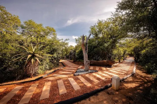 Kapama Buffalo Camp