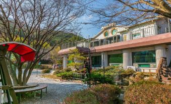 Damyang Nadri Pension