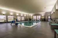 Hampton Inn & Suites Dallas-The Colony - Kolam Renang