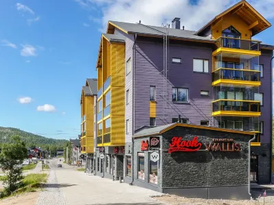Levin Kunkku C11 Hotels in Кіттіля