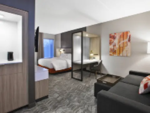 スプリングヒル スイーツ バイ マリオット チャタヌーガ ノース/ウールトワー コレッジデールのホテル