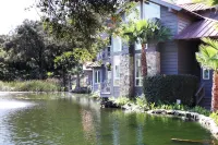 Guava Cabin @ Vinyard Winery, 6 Adults, 2 Kids, Wifi, AC, Fallbrook