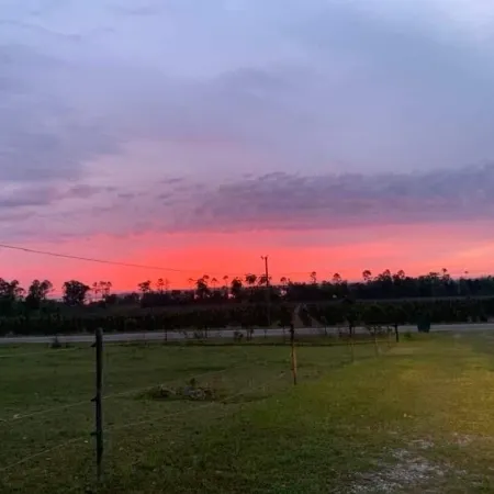 Great views and walking distance to the boat ramp at Lake Seminole!!