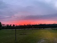 Great views and walking distance to the boat ramp at Lake Seminole!!