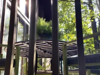 Acorn Acre luxury 3-bed A-frame cabin in the woods