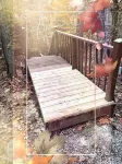 Beautiful Cottage -Water Front+dock+Big Bear Bay