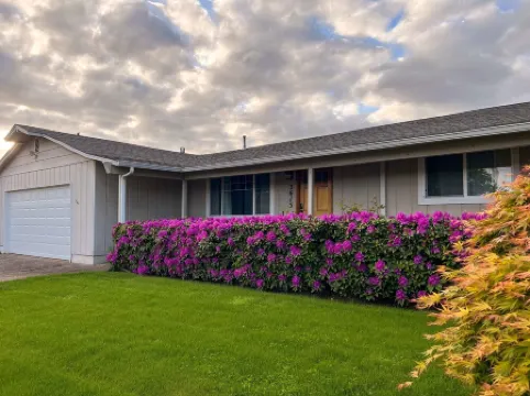 Outdoor Living and Indoor Bar - Entire house - walk to Autzen Stadium