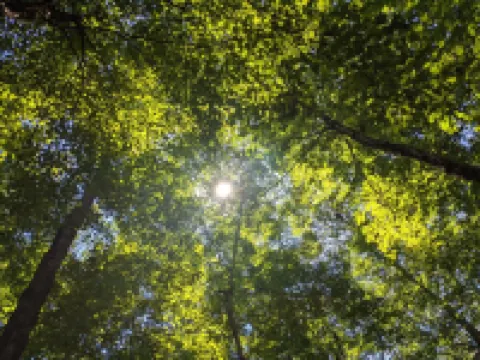 Hocking Hills,Cozy Secluded Cabin,Minutes to Caves/WiFi/Pet Friendly!