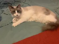 Farmhouse Camper For Rent Hotels in Hempstead County