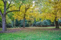 City estate offering privacy & seclusion near many attractions