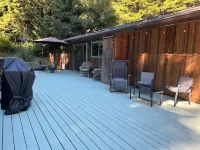 Peaceful, private 3BD home nestled in the redwoods