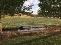 Stargazer Retreat @ Fremont River Ranch 360 Views Near Capitol Reef Park
