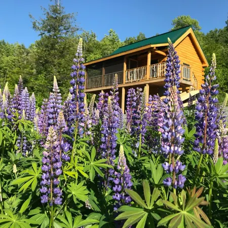 Isolated Log Cabin with Panoramic Views of Cherry Pond and White Mountains