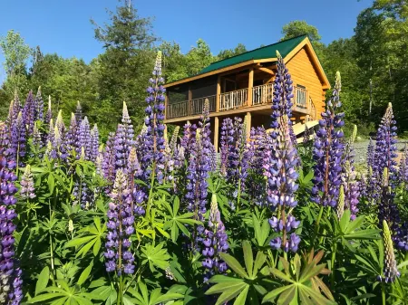 Isolated Log Cabin with Panoramic Views of Cherry Pond and White Mountains Отели в г. Джефферсон