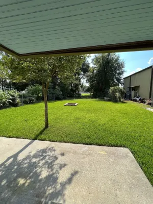 Quirky historic home, fully renovated! Designer interior! Plush linens! Firepit! Hotels in New Iberia