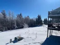 8 Powderidge, Snowshoe, WV - Slopeside Sanctuary