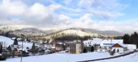 Apartment "Hirschlein" in the Black Forest