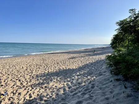 Private Forest Road to Upscale Lodge w/ Hot Tub, Sauna, Golf Cart, Bocci Court