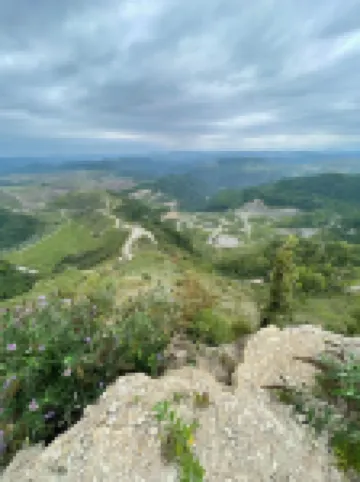 Spacious home off 300+ miles of Hatfield McCoy Trails on Devil Anse Trail System