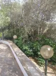 Olea House located in the countryside and close to everything you want.