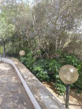 Olea House located in the countryside and close to everything you want.