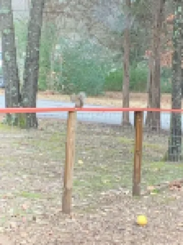 Pet-Friendly 3-bedroom neighborhood home close to shopping, lake and river 希伯酒店