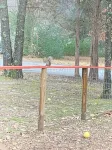 Pet-Friendly 3-bedroom neighborhood home close to shopping, lake and river