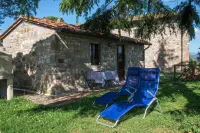 Happy holidays in Chianti, among olives and vineyards, From Florence