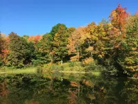 Secluded Hillside Property with Valley Views and Fishing Pond - Chalets