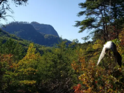 Mountains-Lakes-Parks-Winery-Privacy-SerenityLeaf Peeping Paradise