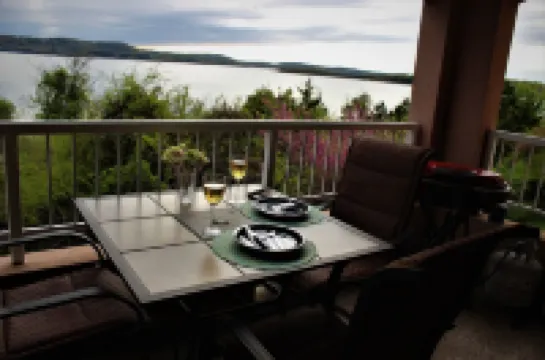 Fabulous Patio View Overlooking The Main Channel Of Table Rock Lake