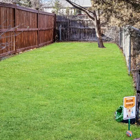 Newly Remodeled, Sleeps 12, Quiet neighborhood near it ALL, Pet Friendly