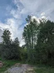 Creekside Cabin on 80 Acres!