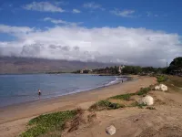 Your Maui Beachfront Retreat & Private Observation Deck - Permit #Stkm 2015/0003