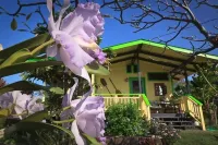 Close But Far.... Cool da Heels Hotels in der Nähe von Kealakekua Bay Cliffs