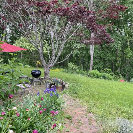 Birch Point at Cushman Cove- Entire Suite- King size bed, private setting