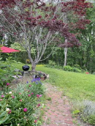 Birch Point at Cushman Cove- Entire Suite- King size bed, private setting