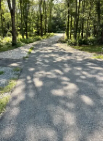 Small cozy cabin with grill & fire pit close to beaches, skiing, biking and URI.