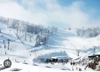 Get cozy for the winter in this 3 floor, 4 bedroom rustic ski home