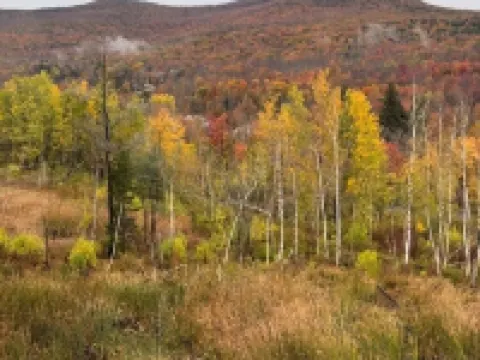 Hunter Mountain 2 Bedroom Condo - Steps to Ski Slopes!! ハンターのホテル