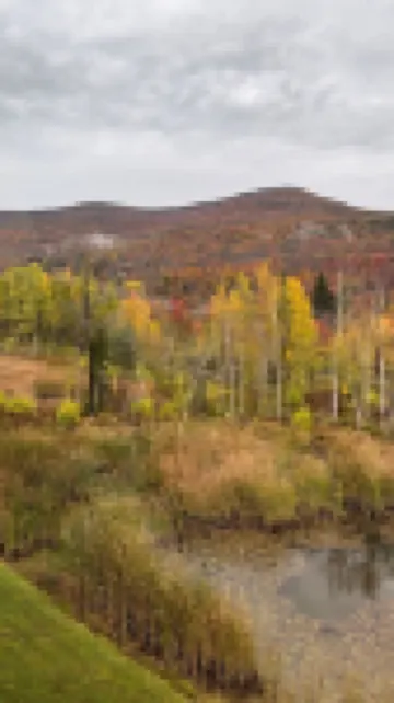 Hunter Mountain 2 Bedroom Condo - Steps to Ski Slopes!!