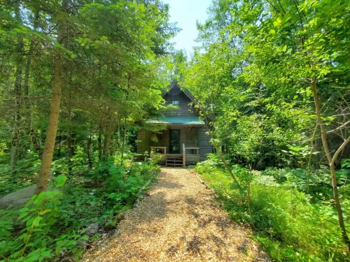 Superior Sanctuary: Refined Rustic in the Woods by the Beach, Trails
