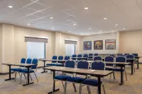 Home2 Suites by Hilton Jonesboro - acceptant les animaux