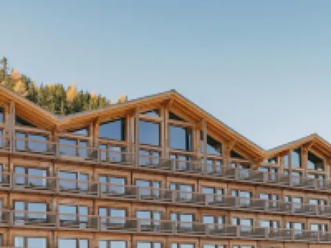 Eringer Hotel Hotels in Vex