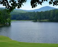 A Contemporary Mountain Retreat, a VRBO Bear Stay