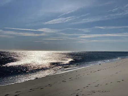 7 Bed/4 Bath, Salt Water Pool, Walk to beach/boardwalk